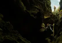 小编观影｜高能猎杀对决！《巅峰猎杀》看完全程手心冒汗